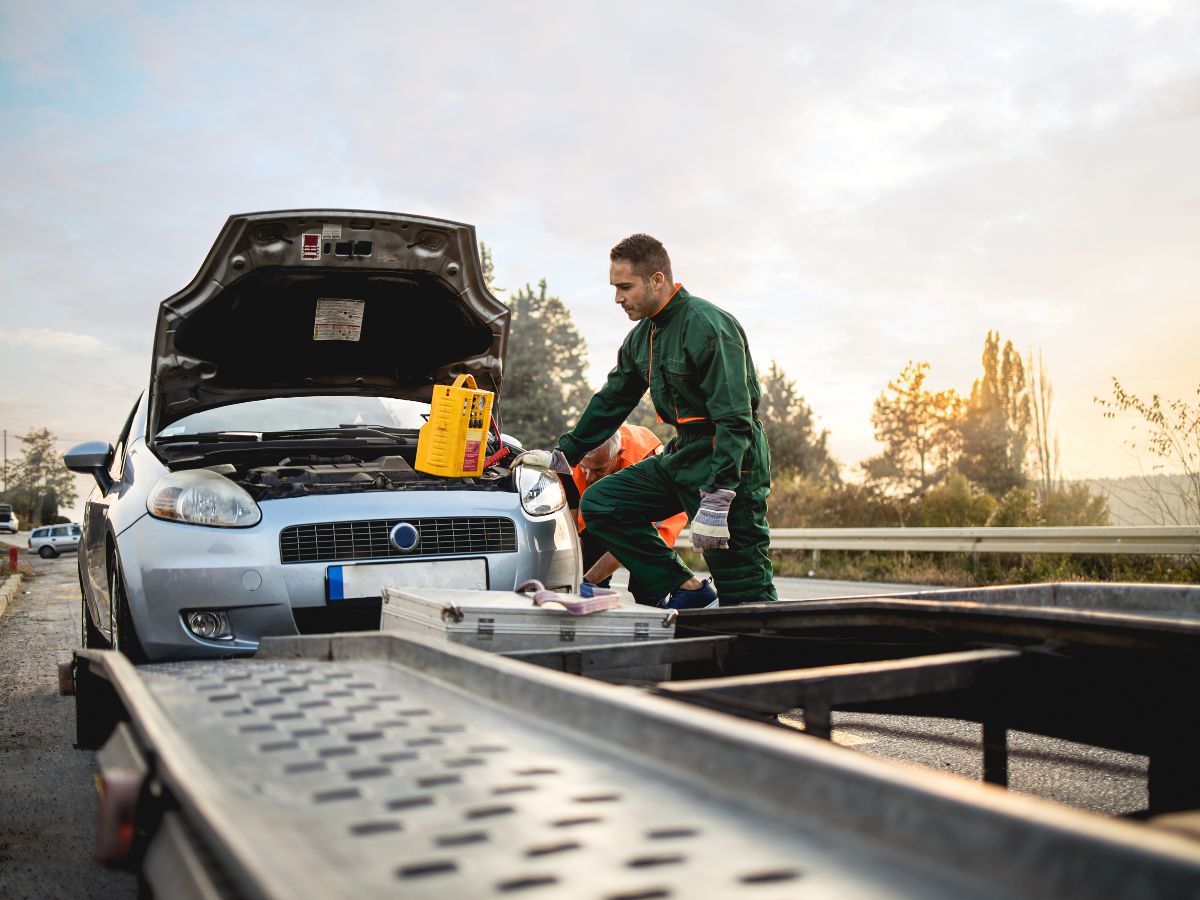 trasporto auto concessionari (1)